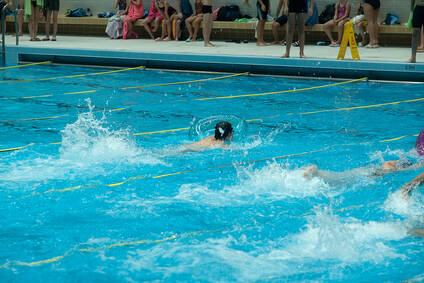 Plavecký oddiel