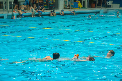Plavecký oddiel